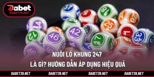 Nuôi Lô Khung 247 Là Gì? Hướng Dẫn Áp Dụng Hiệu Quả